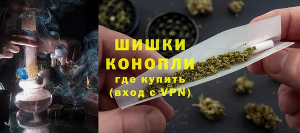 сатива Алзамай