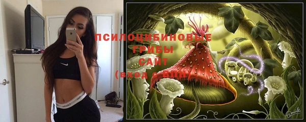 спиды Алексин